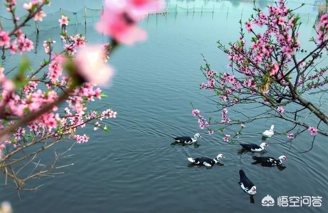 ,支持出售照片的网站哪个好?