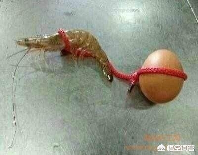 智能起名网站有哪些,起名叫悦腾是什么意思求解?