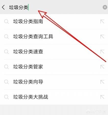 app 网站开发公司