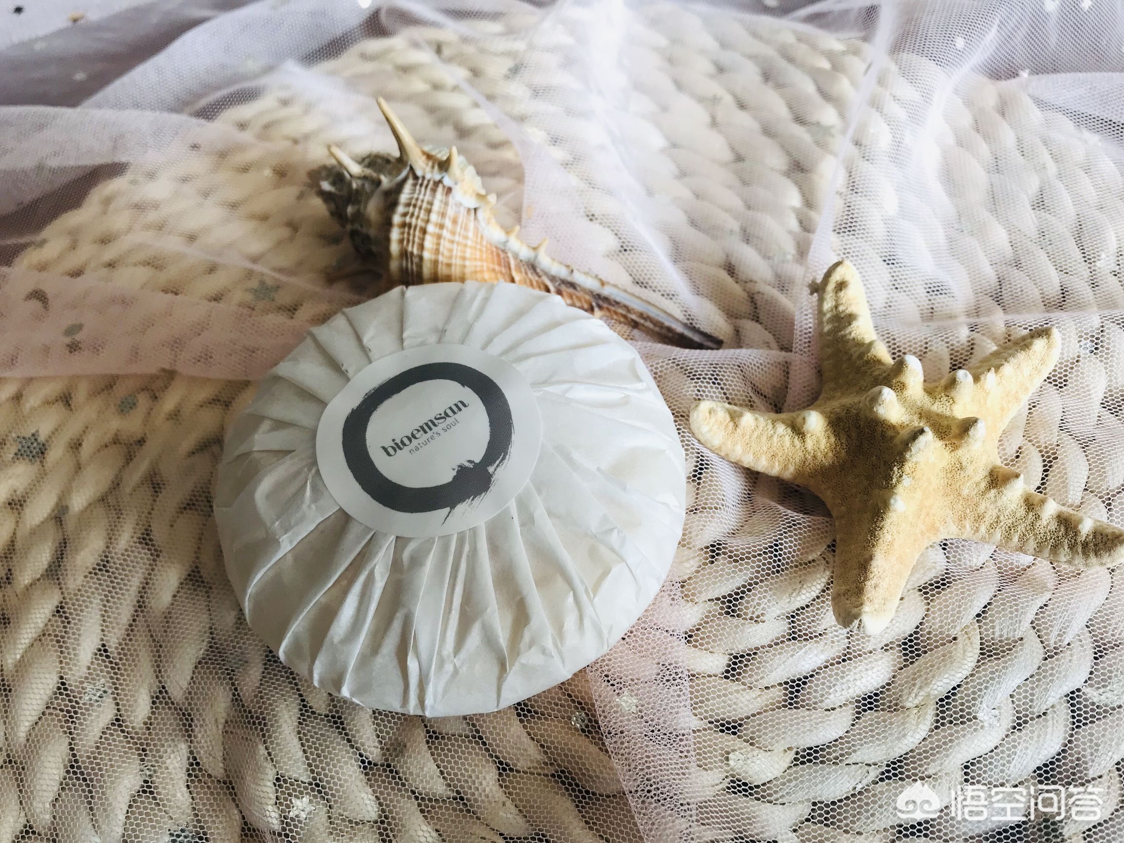 上万蜜蜂进家里筑巢