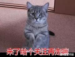 培训app软件开发定制