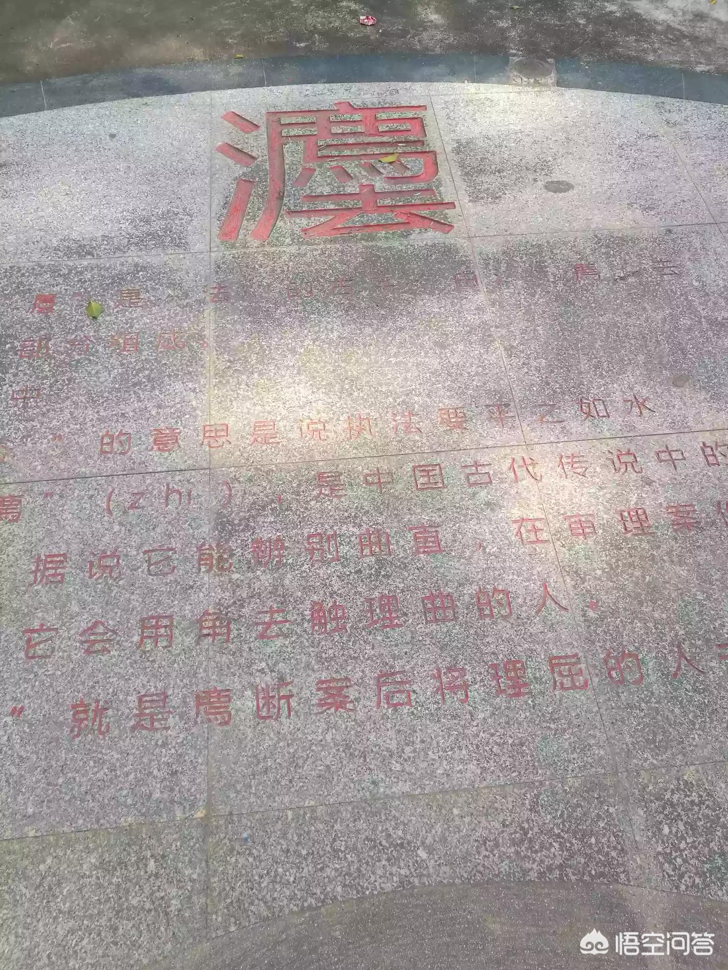 应避开的狼，应避开的狼 SP 藤咲淳一 在线看