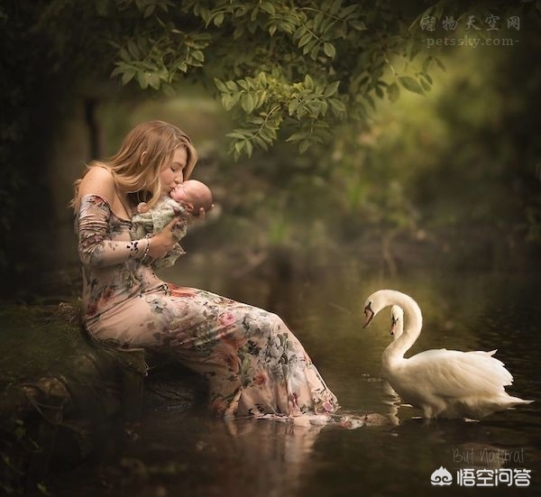 海外生活日常照片要求，海外生活日常照片要求是什么