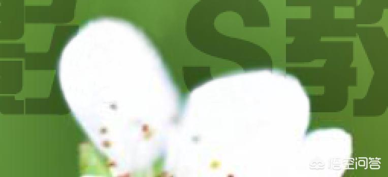 ps如何去水印(ps软件如何去除水印?) ps如何去水印(ps软件如何去除水印?)