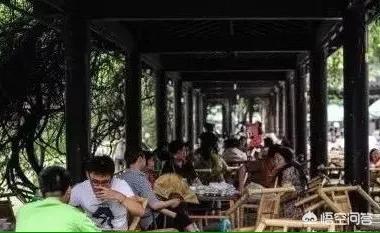 茶楼预约app开发