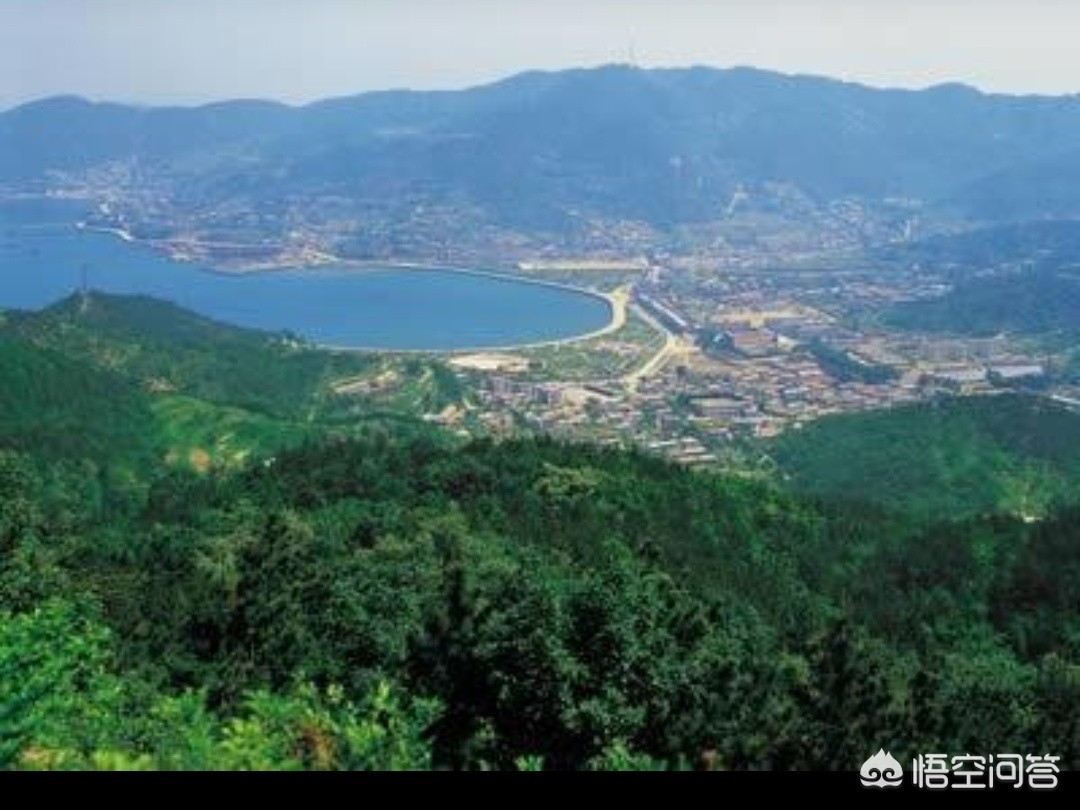 向大连市提出什么建议
