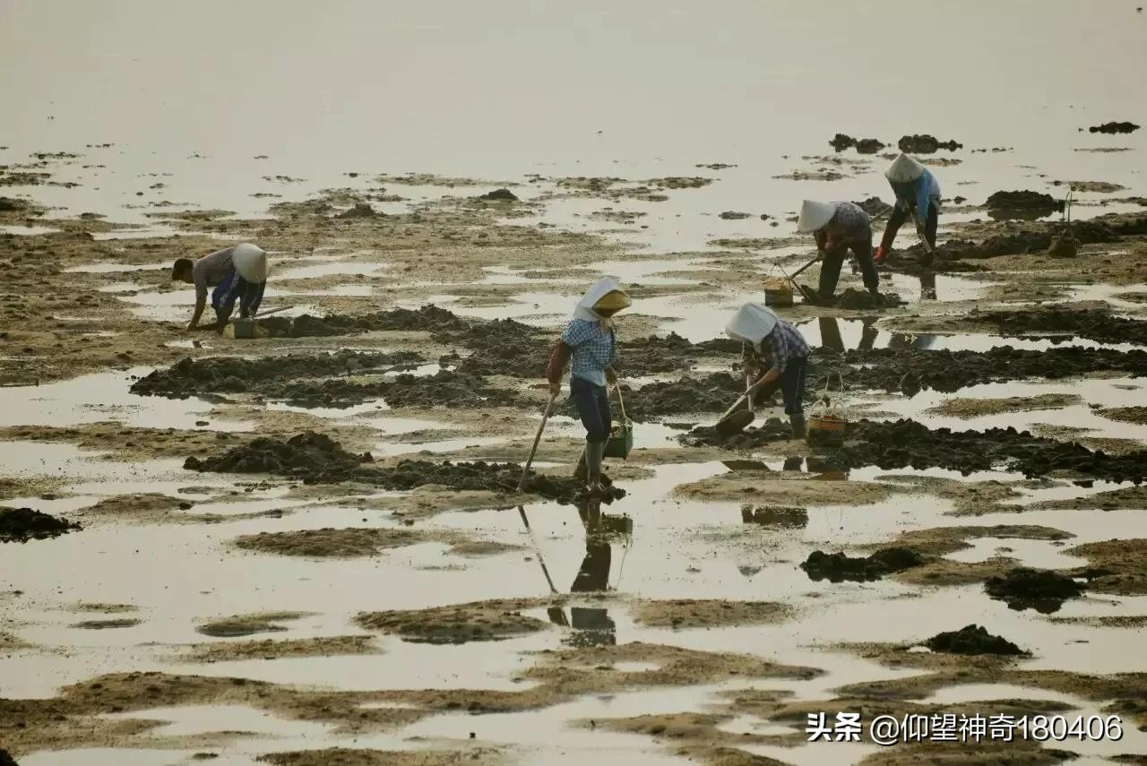 南宁市哪个区宜居