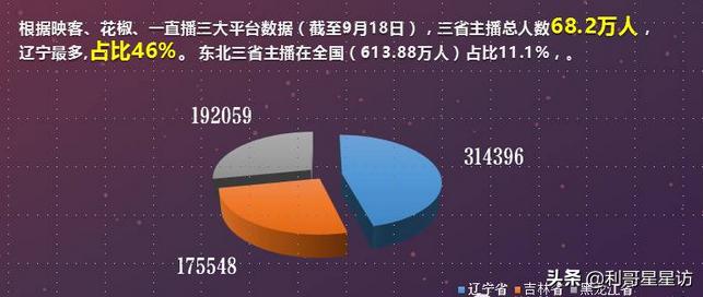 东北小伙海外生活挑战，东北小伙海外生活挑战视频