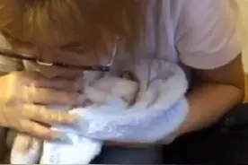 流浪狗分娩时狗崽濒临窒息，女孩为它人工呼吸，可结果却令人惋惜图片