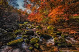 中国最全赏枫地图｜最佳观赏时间图片