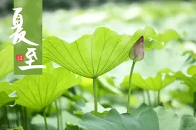 中考常考的212个词语（字音）图片