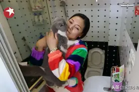 2人挤31㎡，养一堆猫，共用餐具一起吃饭，半夜被猫屎臭醒，难受图片