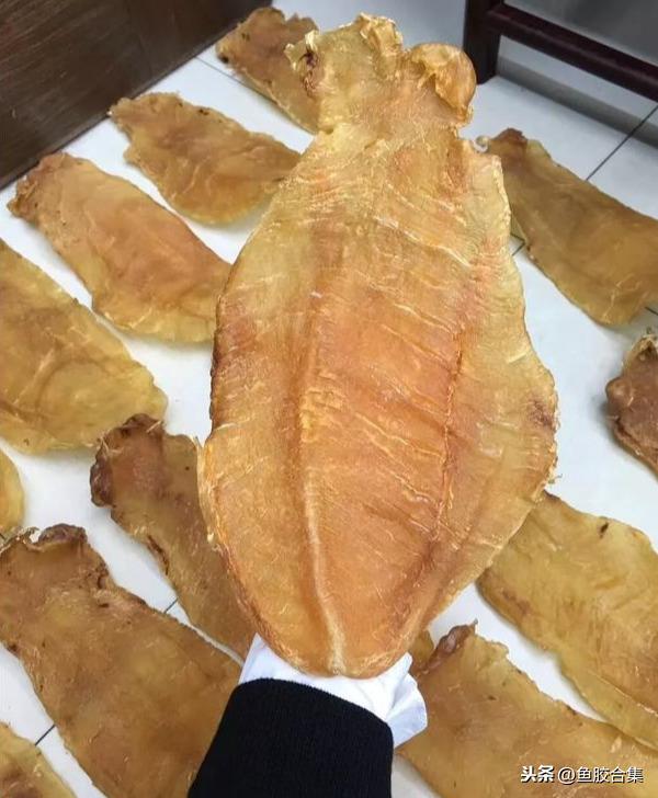 长长的是什么花胶 2026年细长的花胶