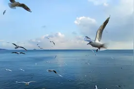 看海无需去南方 北京周边10个适合看海的好去处图片