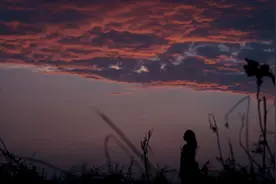 印度死亡14万，空姐下海接客，女星自杀：海外疫情，堪比地狱图片