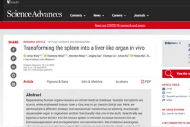 Science高度评价！南京大学取得重要突破，为器官移植带来新希望！图片