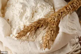 硕鼠硕鼠，无食我麦：《诗经》出现多次的麦，何时才被大面积种植图片