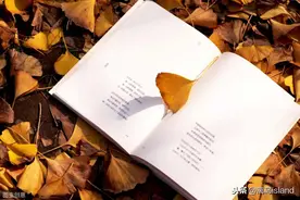 从小职员到图书传递者，朱丽叶的奇遇带给我们3点关于读书的思考图片