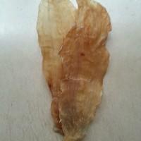 石斛花胶排骨汤的做法窍门 2025年石斛花胶排骨汤的做法窍门视频 石斛花胶排骨汤的做法窍门 2025年石斛花胶排骨汤的做法窍门视频