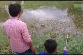 化绍大徒弟 自创钓鲤鱼窍门 教练化绍新讲解钓鲫鱼秘方视频封面