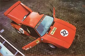 擎授の百科｜小心！黑豹出没！（上）图片