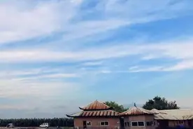 纳尼？海鸥岛要通地铁？还要建湿地公园？！图片