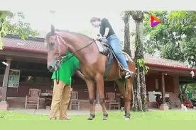 美女学骑马，腿又粗又短有点困难啊，马儿却很配合的驮着美女视频封面