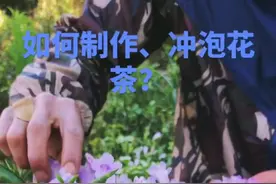 #你好2019 你知道如何用云南古茶和板蓝根花、金银花、玫瑰花制作和冲泡花草茶？#普洱茶 #花茶@抖音小助手