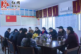 李劲柳到新化接龙村指导新农村建设图片