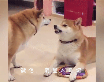 ��Ȯ���������������������ǻ���������۾�����ȷ�������������