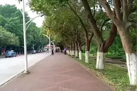 《青春不散场》