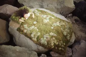 那些妈妈教我的沾花惹草的事图片