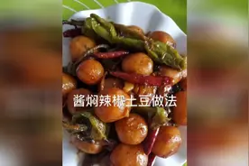 酱焖辣椒土豆做法，这也算一个大菜了，做法却如此简单