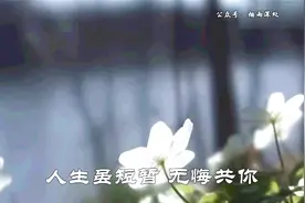 BEYOND音乐歌曲：《未曾后悔》（《短暂的温柔》粤语版）视频封面