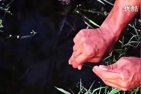 农村大爷钓黄鳝，一条接一条，录像的小哥眼都看直了图片