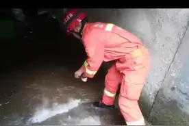 万能的消防员图片