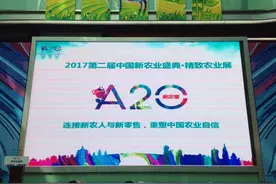 沙漠留香瓜49元/个 这个周末杭州白马湖上演农业A20图片