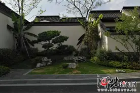 杭州绿城“十里风荷”项目进湖城图片