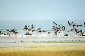 2017/8/20(339)「检察微文」天门沉湖贪污窝案办理记（一）图片