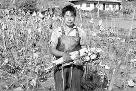 激发内生动力 释放脱贫动能图片