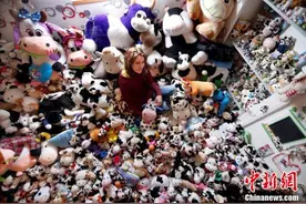 法国女模酷爱收集玩偶 与上千奶牛玩偶“同吃同住”图片