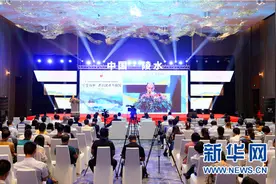 海上丝路国际健康产业高峰论坛在陵水聚焦大健康图片