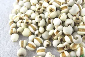 孕妇可以吃薏米么？图片