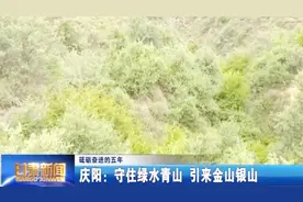 甘肃庆阳：守住绿水青山 引来金山银山视频封面