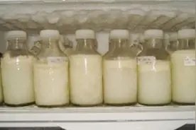 母乳太多妈妈无奈成为捐奶族！揭秘母乳库母乳捐赠全过程图片