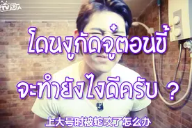 泰国男子上厕所遇到蛇，机智十招破解尴尬视频封面