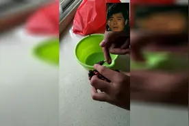 网友亲测被螃蟹夹手是什么感觉视频封面