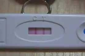 两分钟学会：手把手教你用验孕纸，小年轻们要学学了！图片