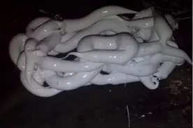 俗话说好马配好鞍 手把手教你制作奇石底座 （多图）图片