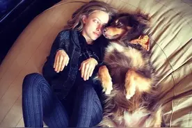 “金主，Facebook上了，Instagram得保持队形”图片